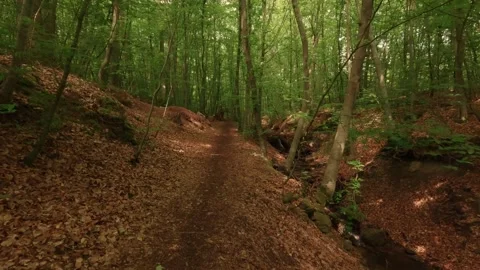 Hiking through a gorge with small waterfalls Stock Footage 335703066