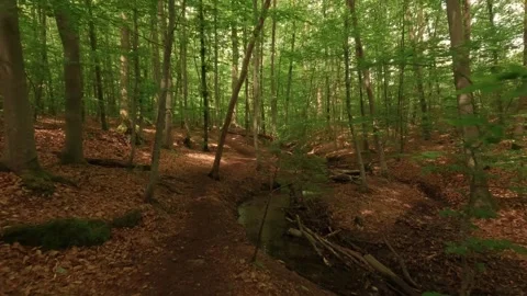 Hiking through a gorge with small waterfalls Stock Footage 335703370