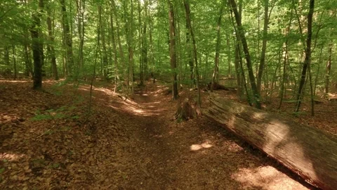 Hiking through a gorge with small waterfalls Stock Footage 335703506