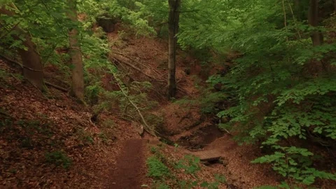 Hiking through a gorge with small waterfalls Stock Footage 335703859