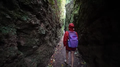 Hiking Through the Lush Trails of Mombacho Volcano in Granada Nicaragua Stock Footage 303846573