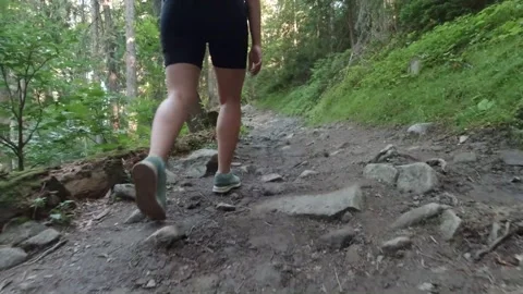 Hiking through the mountain forest. Stock Footage 138591606