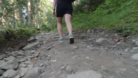 Hiking through the mountain forest. Stock Footage 138591620