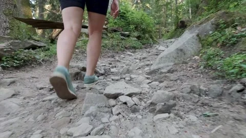 Hiking through the mountain forest. Stock Footage 138591625