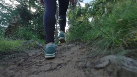 Hiking through the mountain forest. Stock Footage 138591655