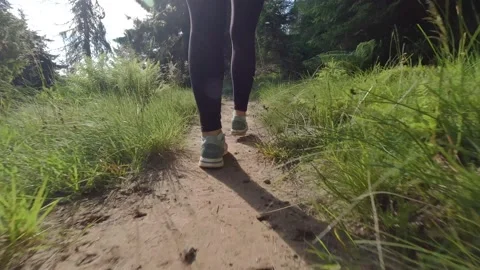 Hiking through the mountain forest. Stock Footage 138591664