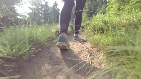 Hiking through the mountain forest. Stock Footage 138591682
