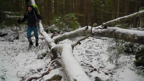 Hiking Through Snow Covered Forest With Hiking Poles and backpack Stock Footage 277677071