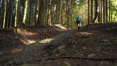 Hiking through a tranquil forest trail surrounded by tall trees Stock Footage 282667946