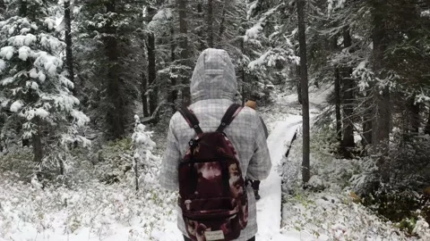 Hiking Through Winter Forest Video stock 200959038
