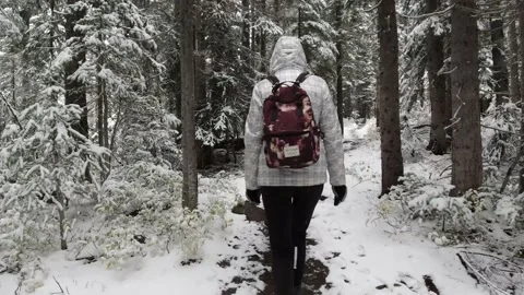 Hiking Through Winter Forest Stock Footage 200959101