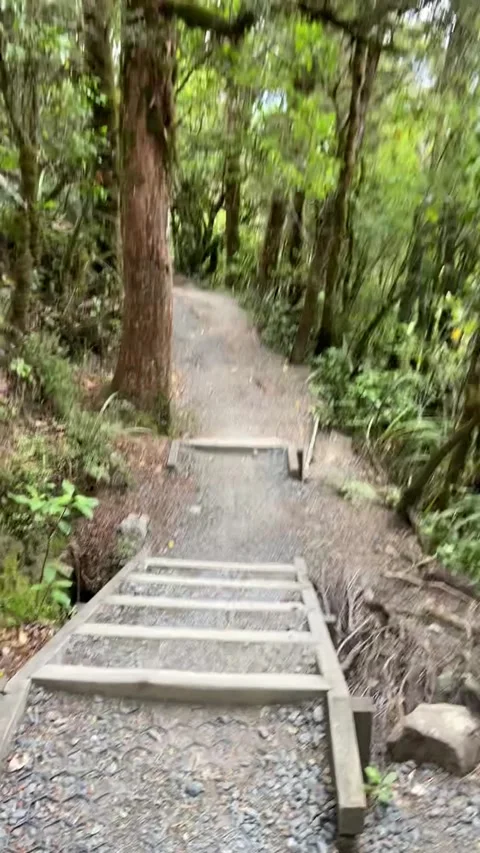 Hiking in Tongario 動画素材 344173666