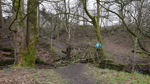 Hiking towards Rush Up Edge, in Edale Valley, Derbyshire. Stock Footage 321691863