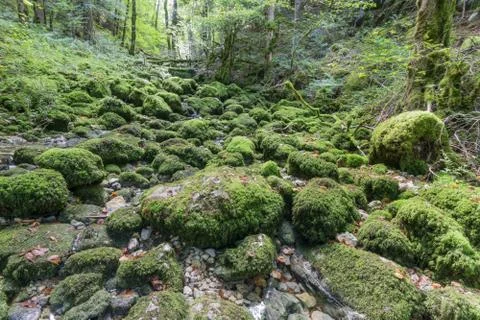 Hiking track of the Pertes de L'Ain, Losses of the Ain, Jura Stock Photos
