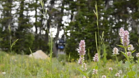 Hiking trail 3 Vidéo 53114948