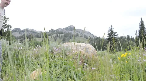 Hiking trail 9 Vidéo 53121620