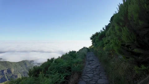Hiking Trail Above the Clouds on a Sunny Day, Madeira Mountains Stock Footage 340128135