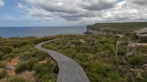 Hiking Trail and Australian Native Vegetation and Coastal Flora at Eagle Ro.. Stock Footage 312061353