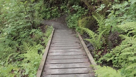 Hiking Trail - Bridge 動画素材 89396866