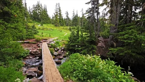 Hiking Trail Bridge Over Mountain Stream in Spray Park, Mount Rainier National P Vídeo Stock 332081852