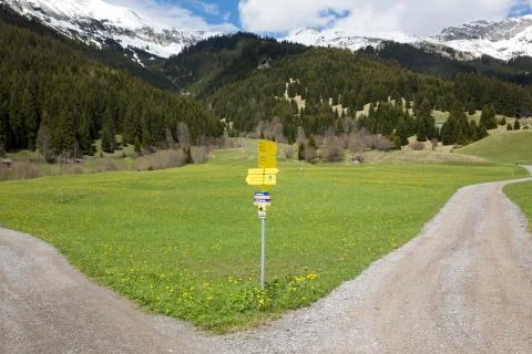 Hiking Trail Choice Stock Photos