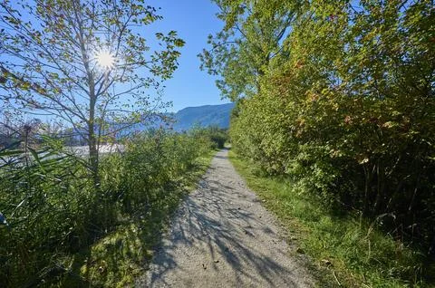 Hiking trail cycle path sun morning summer Bleistaetter Moor Steindorf am Lake Stock Photos