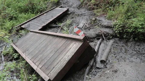 Hiking Trail - damaged bridge 動画素材 89396864