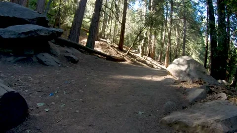 Hiking trail dappled light Stock Footage 137272293