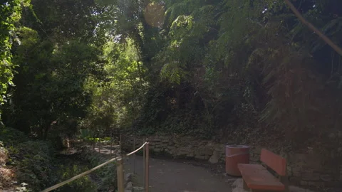 Hiking Trail with Empty Bench at Griffith Park Stock Footage 319352836