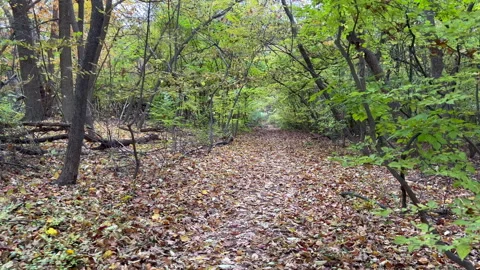 Hiking on the trail in the fall Stock Footage 282928639