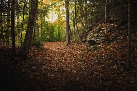 Hiking trail in the fall. Foto stock