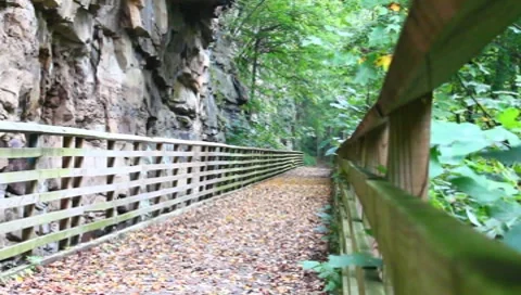 Hiking trail Stock Footage 8677098