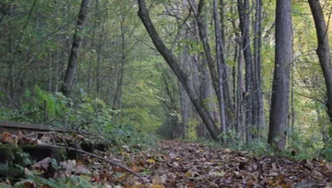 Hiking trail Stock Footage 8869156