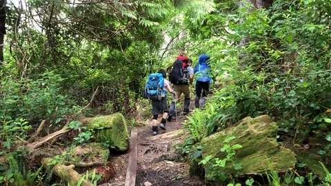 Hiking the trail Stock Footage 111053046