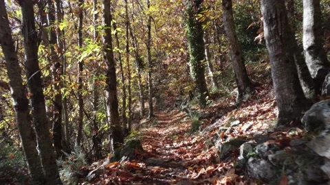 Hiking trail Stockbeeldmateriaal 223729002