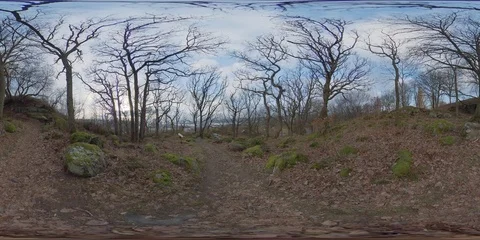 Hiking Trail in a Forest on a Hill - 360 VR Video stock 101730231