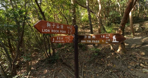 Hiking trail intersection sign pointing to Lion Rock Peak and Sha Tin Pass Stock Footage 309437242