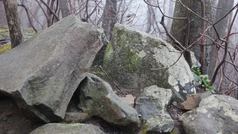 Hiking trail with large rock 動画素材 87739391