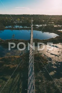 Hiking trail leading through scenic bog area Stock Photos