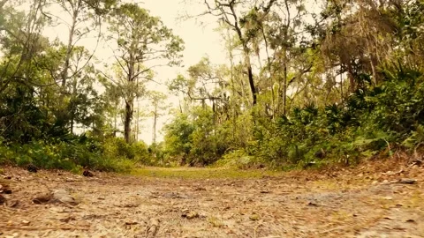 Hiking trail from a low point of view. Stock Footage 152426586