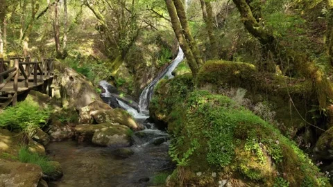 Hiking Trail With Moss-covered Scenery At Raxoi Waterfalls Stock-Footage 335458239