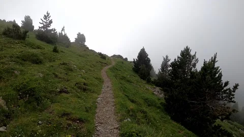 Hiking on a trail into the mountains. Stock Footage 141364645