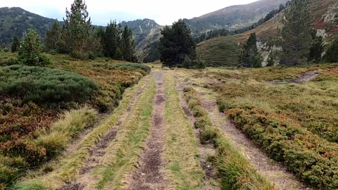 Hiking on a trail in the mountains Stock Footage 145857414