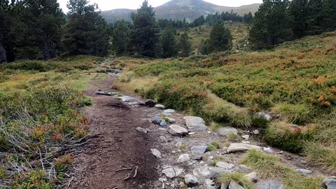 Hiking on a trail in the mountains Stock Footage 145857489