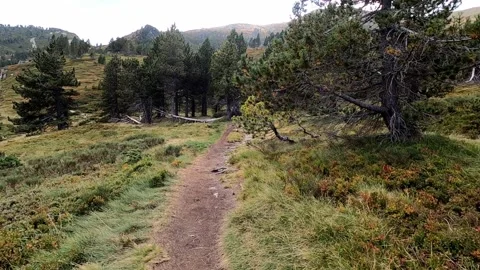 Hiking on a trail in the mountains Stock Footage 145857610