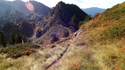 Hiking on a trail in the mountains Stock Footage 146040116