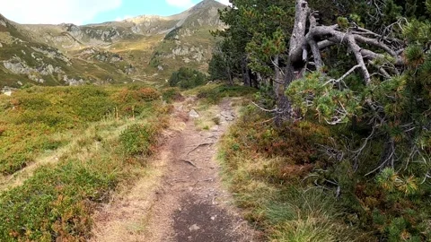 Hiking on a trail in the mountains Stock Footage 146041609