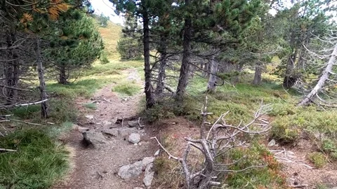 Hiking on a trail in the mountains Stock Footage 146042069