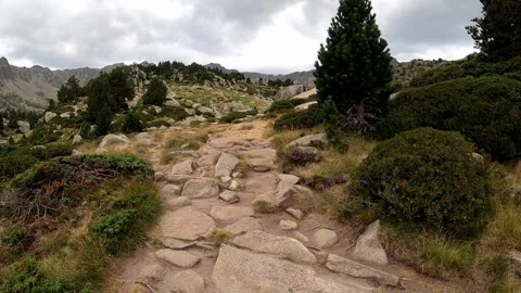 Hiking on a trail in the mountains Stock Footage 152479513