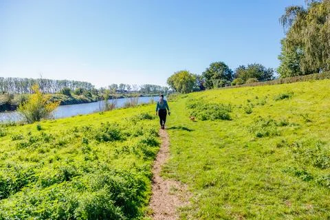Hiking trail parallel to Maas river in Maasvallei nature reserve Stockfoto's